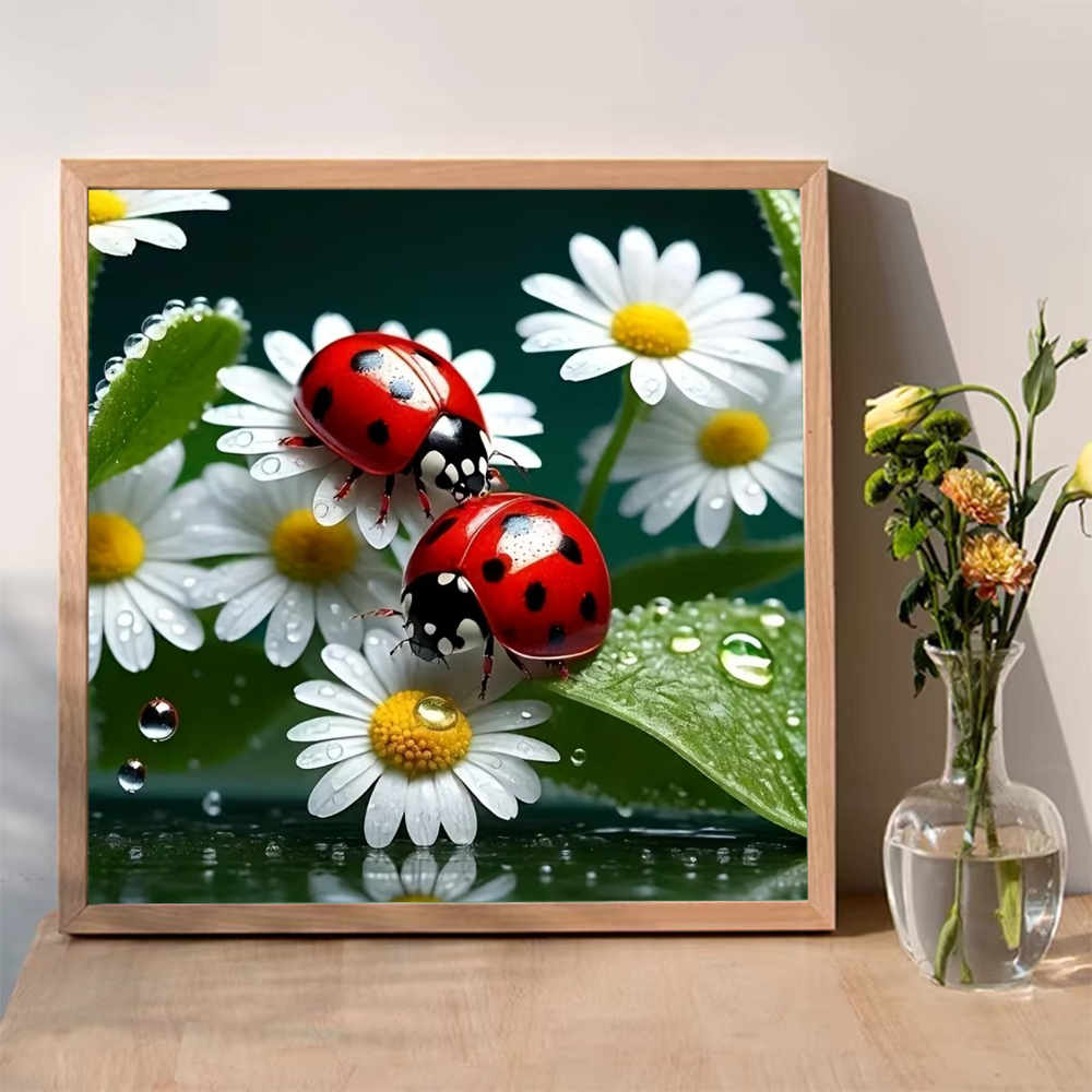 Momoart Diamond Painting Ladyb - огляд і ціна Resin Craft For Beginners